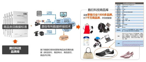 數(shù)衍科技CEO深度解讀 購物中心數(shù)字化建設的關(guān)鍵問題與數(shù)字技術(shù)服務破局之道